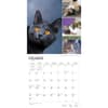 image Cat Lovers 2024 Wall Calendar Alternate Image 2