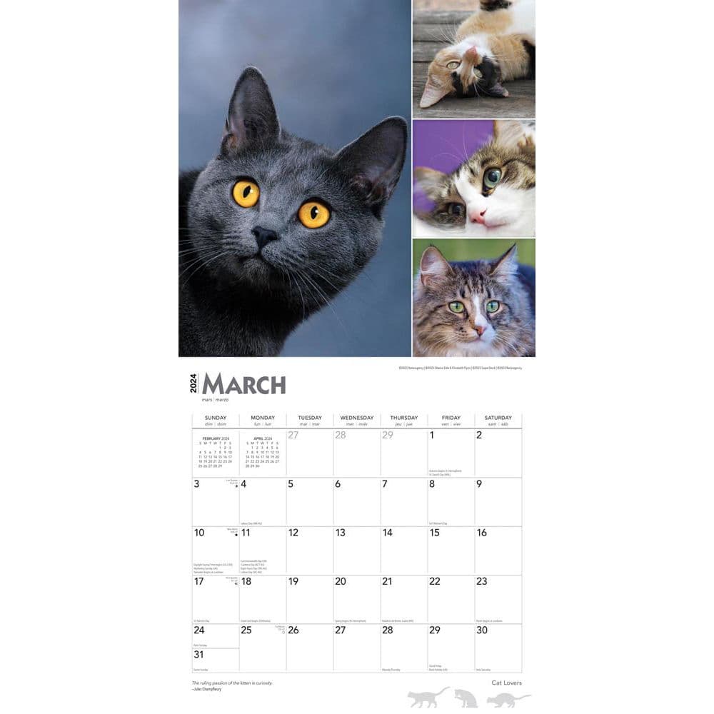 Cat Lovers 2024 Wall Calendar Alternate Image 2