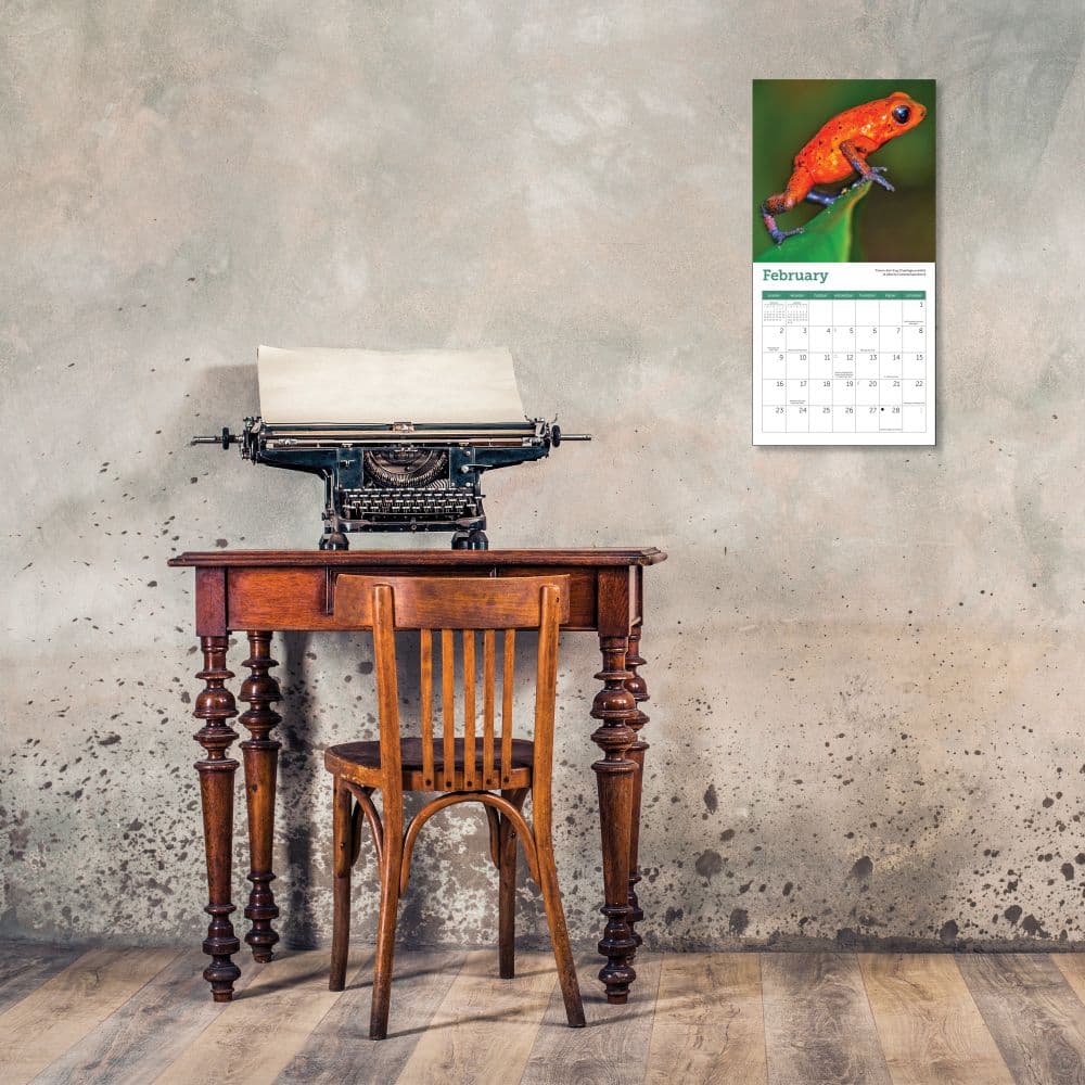 Frogs 2025 Mini Wall Calendar Fourth Alternate Image width="1000" height="1000"