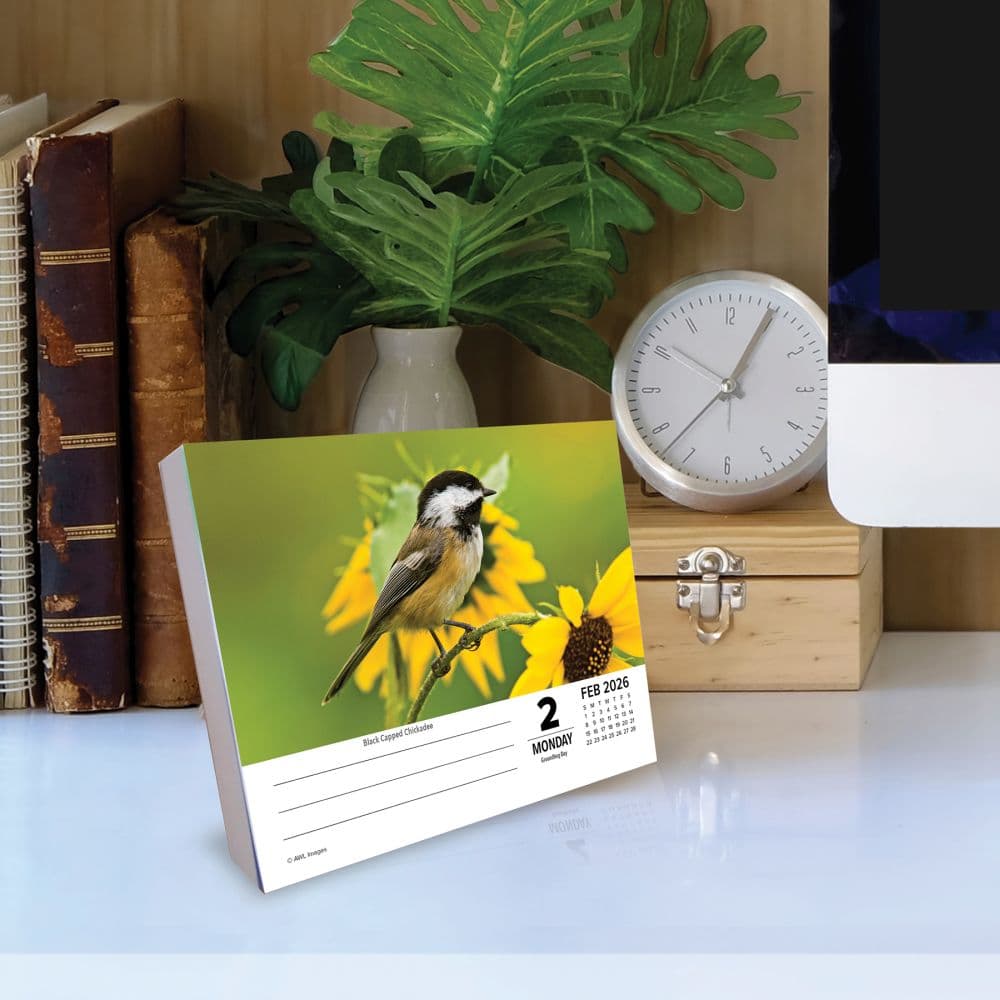 Backyard Birds 2026 Desk Calendar Second Alternate Image