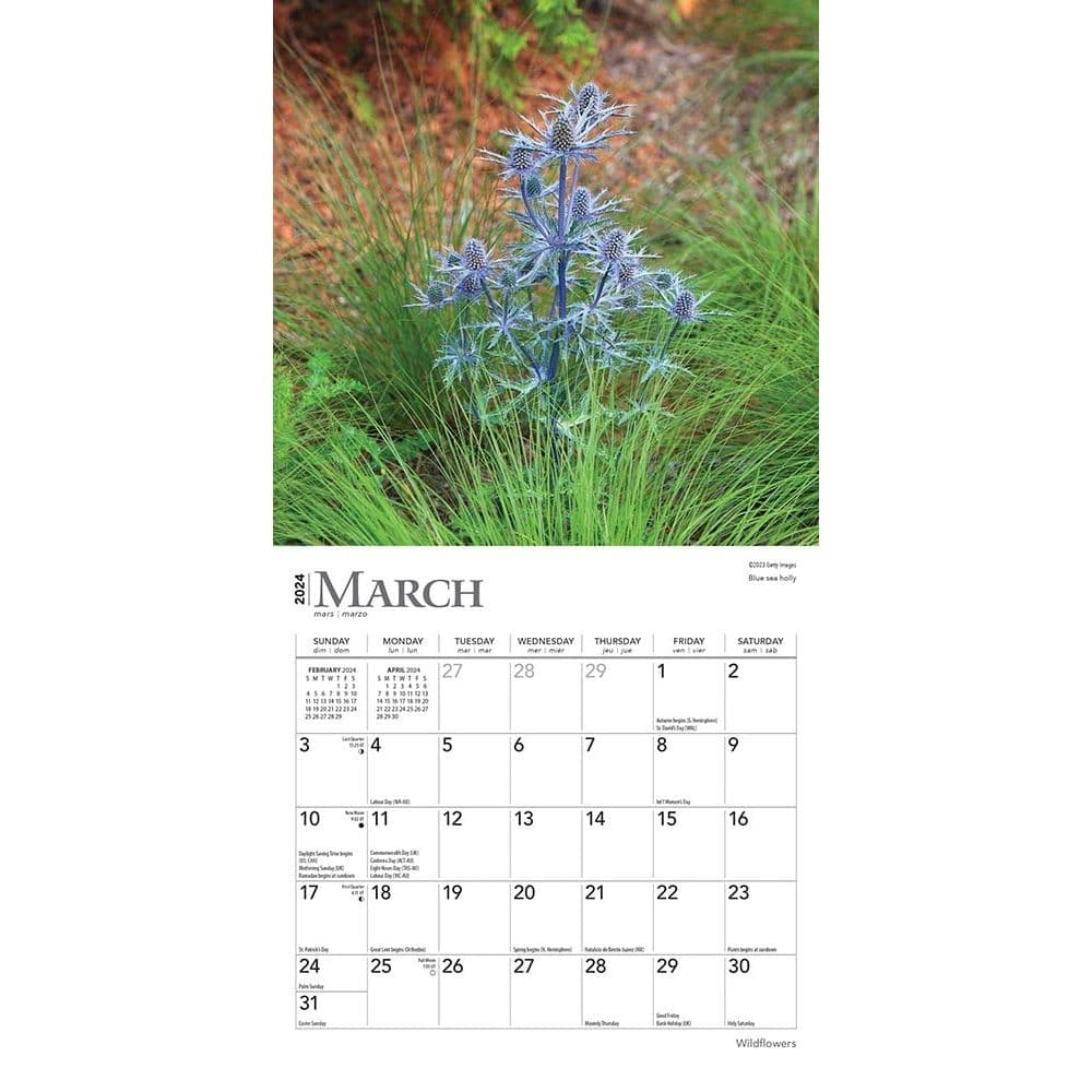 Wildflowers 2024 Mini Wall Calendar Second Alternate Image width=&quot;1000&quot; height=&quot;1000&quot;