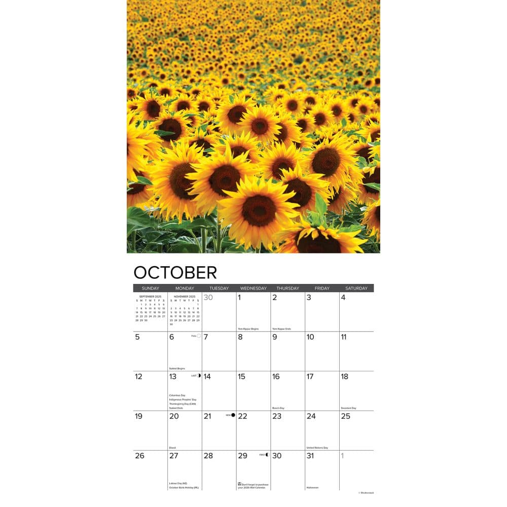 Sunflowers 2025 Wall Calendar Second Alternate Image width=&quot;1000&quot; height=&quot;1000&quot;