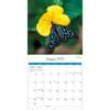 image Butterflies 2027 Mini Wall Calendar