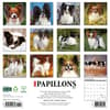 image Just Papillons 2025 Wall Calendar First Alternate Image width="1000" height="1000"