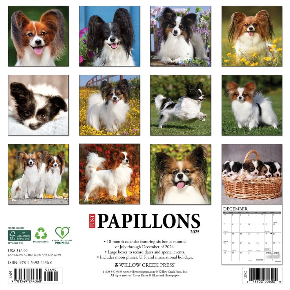 Just Papillons 2025 Wall Calendar First Alternate Image width="1000" height="1000"