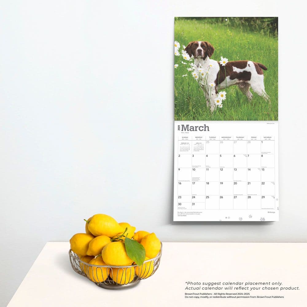 Brittanys 2025 Wall Calendar Third Alternate Image width=&quot;1000&quot; height=&quot;1000&quot;