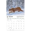 image Wild Cats WWF 2026 Wall Calendar Second Alternate Image