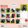 image Black Lab Retriever 2026 Wall Calendar First Alternate Image