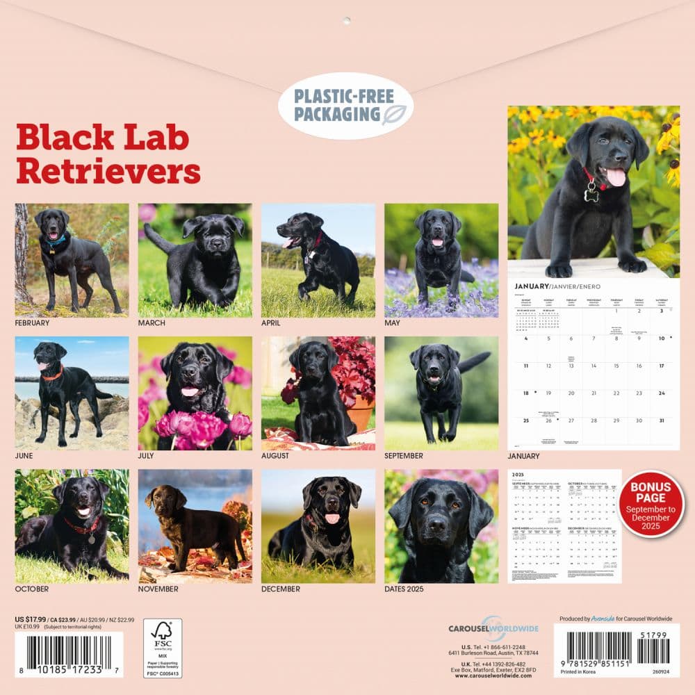 Black Lab Retriever 2026 Wall Calendar First Alternate Image