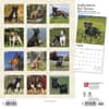 image Staffordshire Bull Terriers 2024 Wall Calendar First Alternate Image width=&quot;1000&quot; height=&quot;1000&quot;