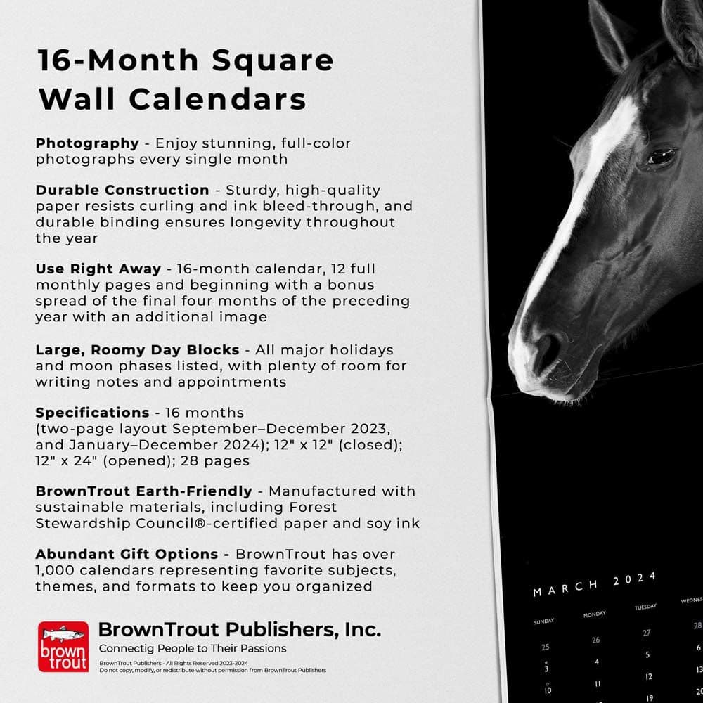 Horse Noble Portrait Series 2024 Wall Calendar Alternate Image 4