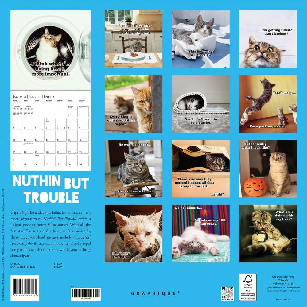Nuthin But Trouble 2027 Wall Calendar First Alternate Image
