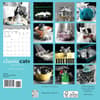 image Classic Cats 2026 Mini Wall Calendar First Alternate Image