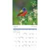 image Songbirds Special Value 2026 Wall Calendar Second Alternate Image