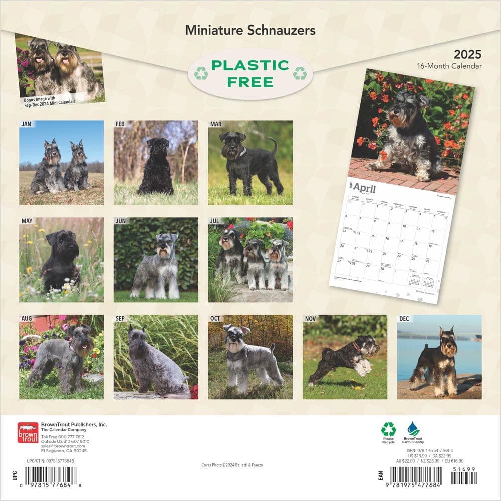 Miniature Schnauzers 2025 Wall Calendar First Alternate Image width=&quot;1000&quot; height=&quot;1000&quot;