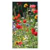 image Wildflower 2 Year 2026 Pocket Planner Main Product Image