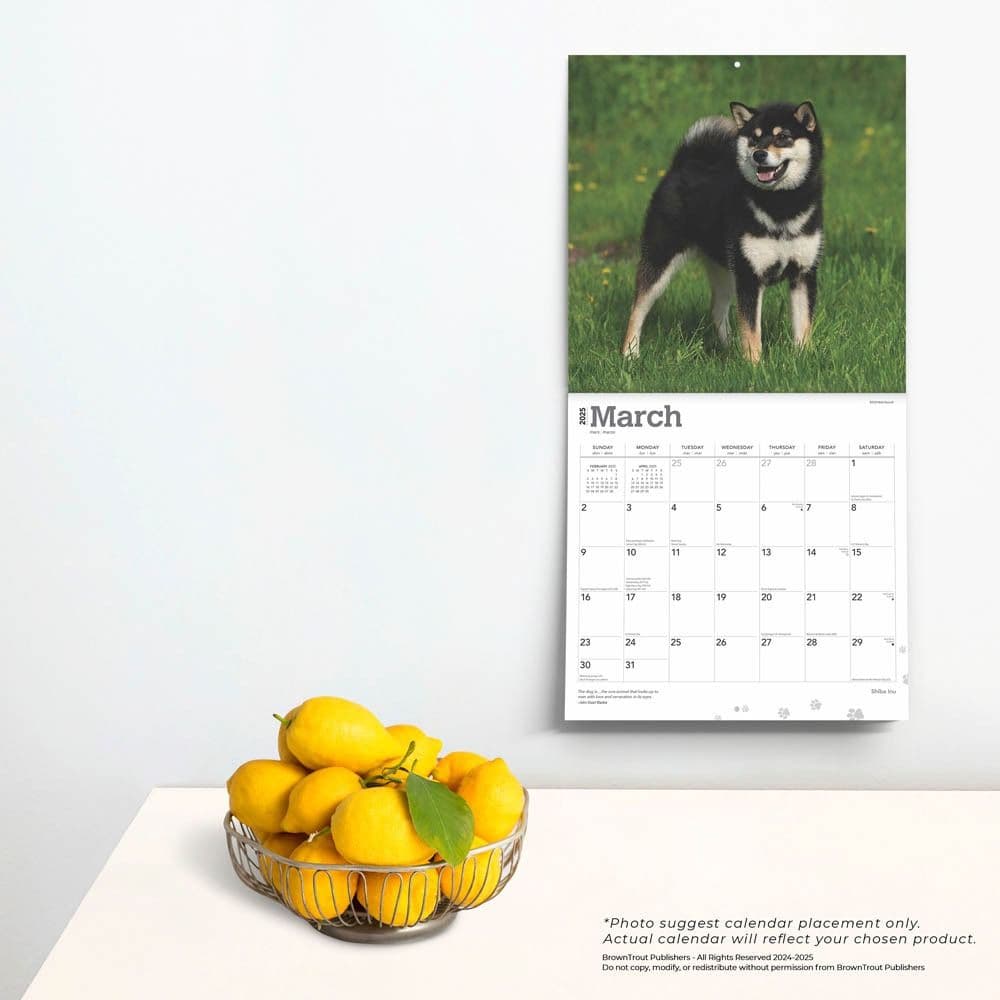 Shiba Inu 2025 Wall Calendar Fourth Alternate Image