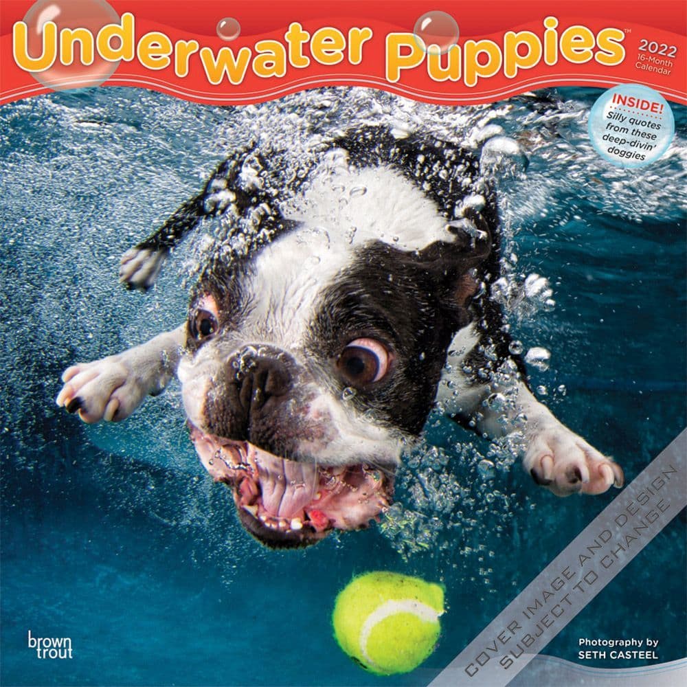 Underwater Puppies 2022 Wall Calendar