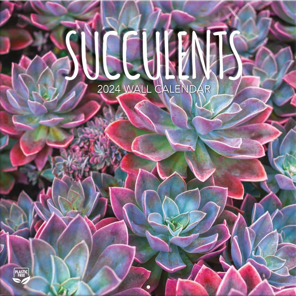 Succulents Photo 2024 Wall Calendar