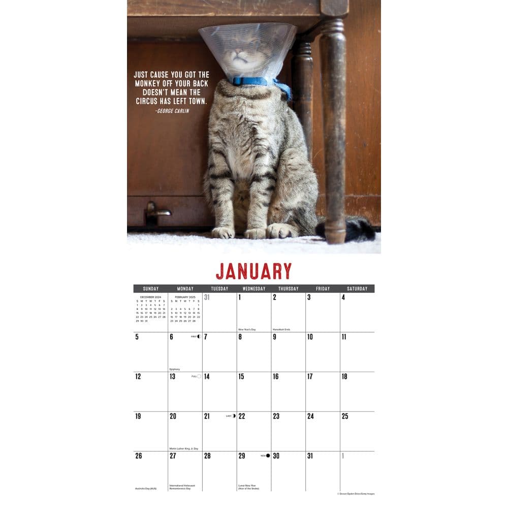 Just Bad Kitties 2025 Wall Calendar Second Alternate Image width=&quot;1000&quot; height=&quot;1000&quot;