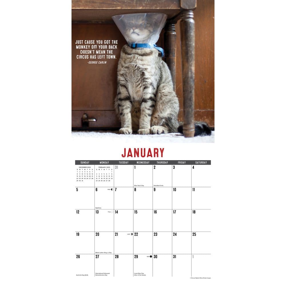 Just Bad Kitties 2025 Wall Calendar