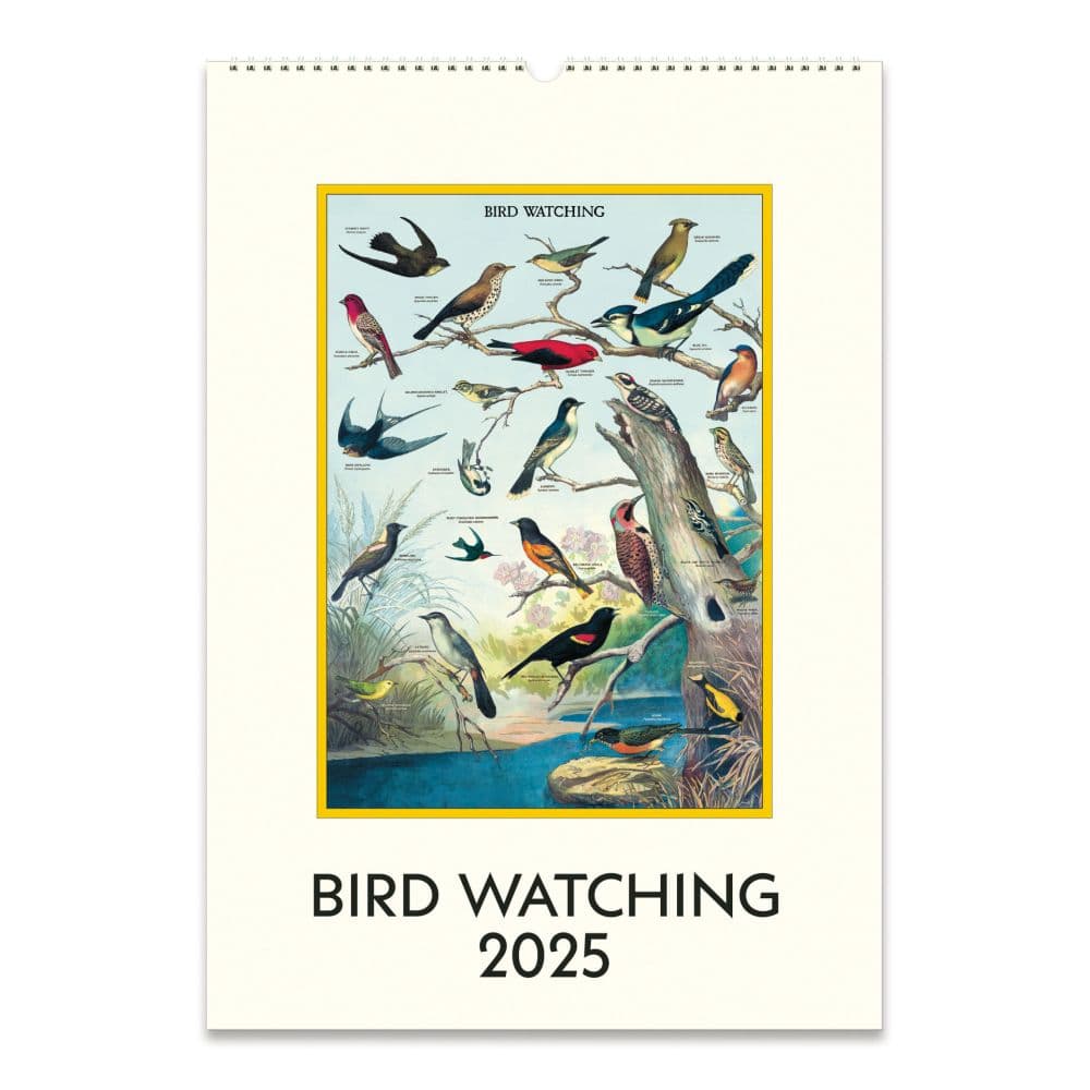 Birdwatching 2025 Wall Calendar Main Image