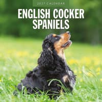 image English Cocker Spaniels 2027 Wall Calendar Main Product Image