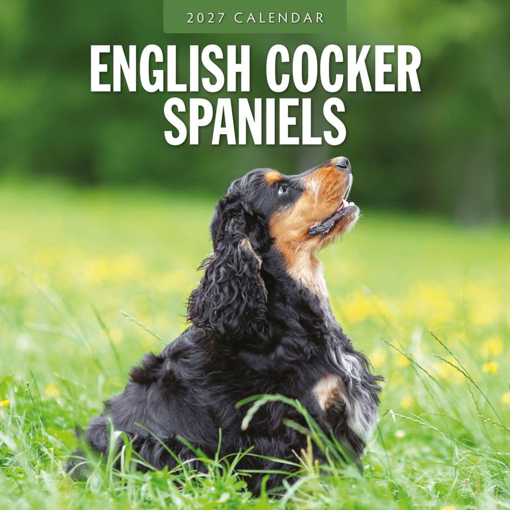 image English Cocker Spaniels 2027 Wall Calendar Main Product Image