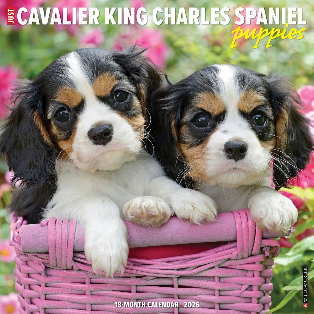 Just Cavalier King Charles Puppies 2026 Wall Calendar Main Image
