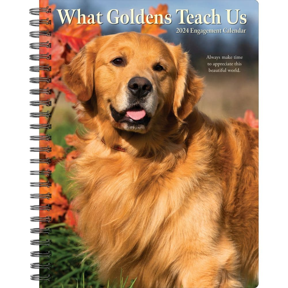 Goldens What Goldens Teach Us 2024 Engagement Planner