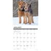 image Just Airedale Terriers 2025 Wall Calendar