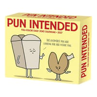 image Pun Intended 2027 Desk Calendar Main Product Image