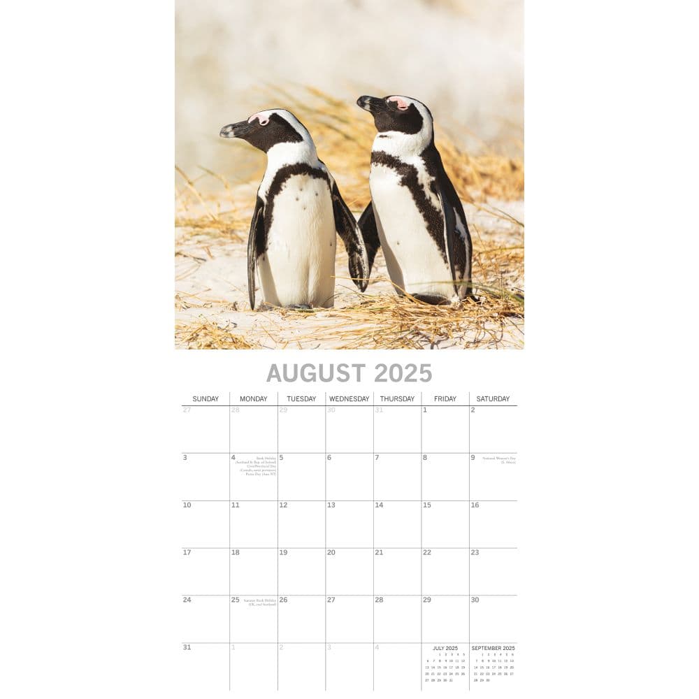 Penguins 2025 Wall Calendar