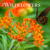 image Wildflowers 2025 Mini Wall Calendar Main Product Image width=&quot;1000&quot; height=&quot;1000&quot;