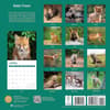 image Baby Foxes 2024 Wall Calendar First Alternate Image width=&quot;1000&quot; height=&quot;1000&quot;