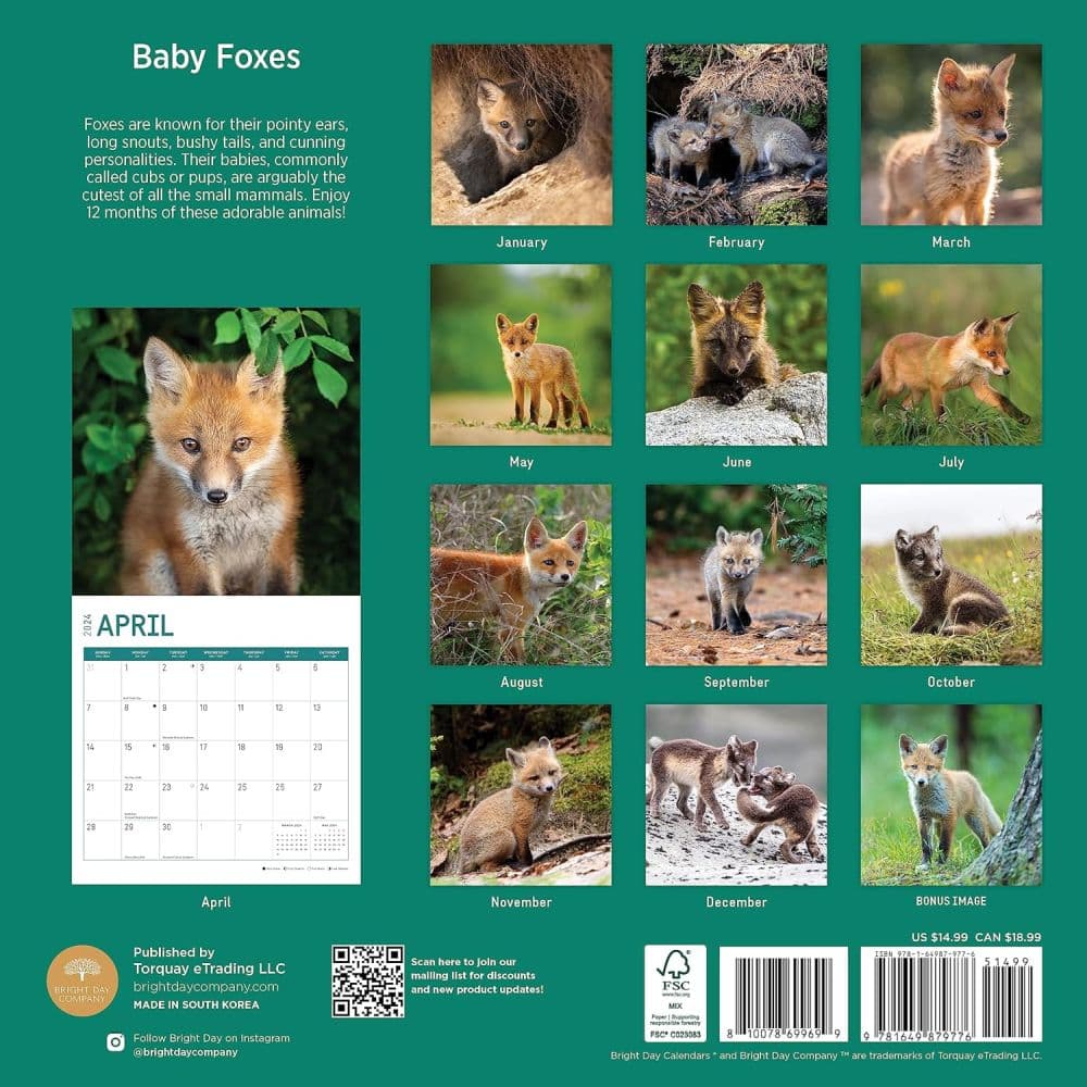 Baby Foxes 2024 Wall Calendar First Alternate Image width=&quot;1000&quot; height=&quot;1000&quot;