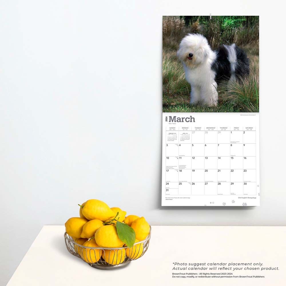 Old English Sheepdogs 2024 Wall Calendar Third Alternate Image width=&quot;1000&quot; height=&quot;1000&quot;