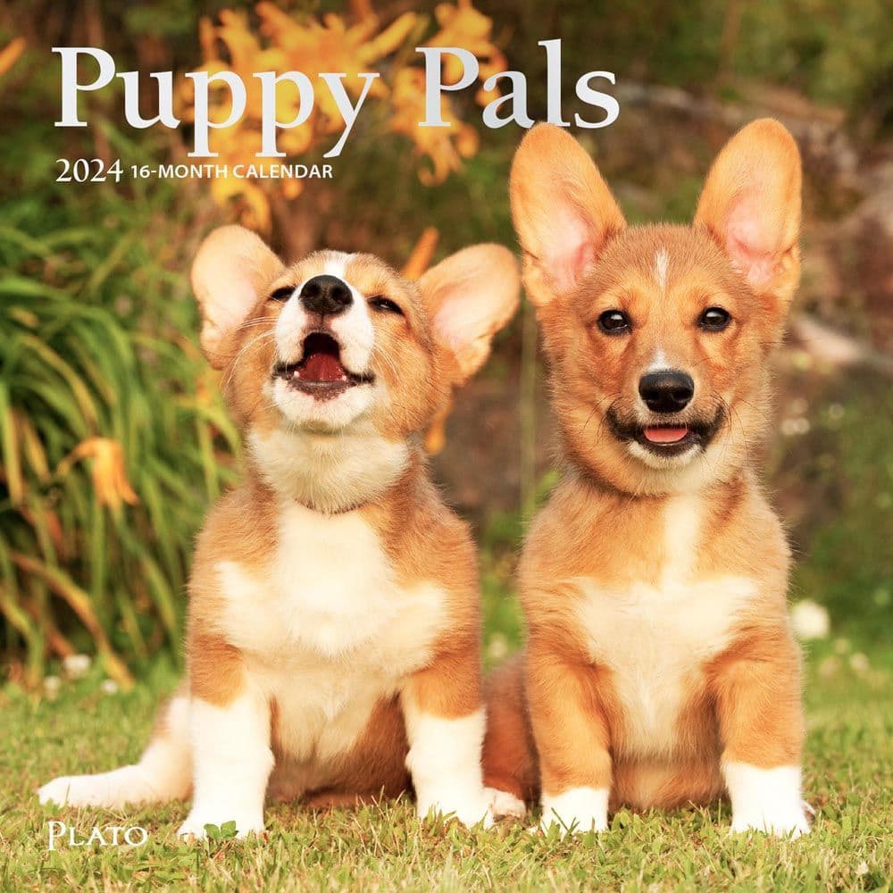 Puppies For the Love 2024 Mini Wall Calendar Main Product Image width=&quot;1000&quot; height=&quot;1000&quot;