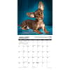 image Chihuahua Rules 2025 Wall Calendar