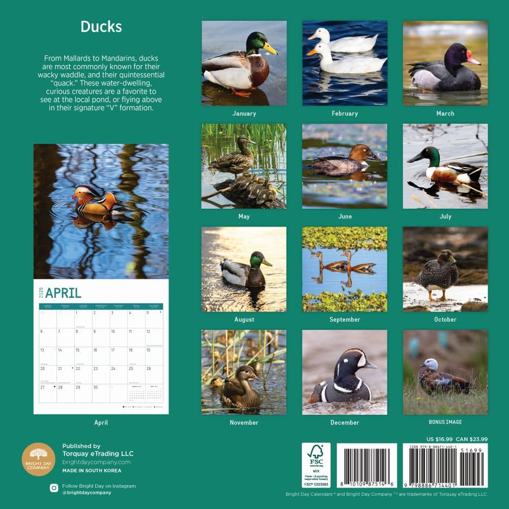 Ducks 2025 Wall Calendar First Alternate Image width="1000" height="1000"