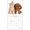 image Kittens &amp; Friends 2024 Mini Wall Calendar Fourth Alternate Image width=&quot;1000&quot; height=&quot;1000&quot;