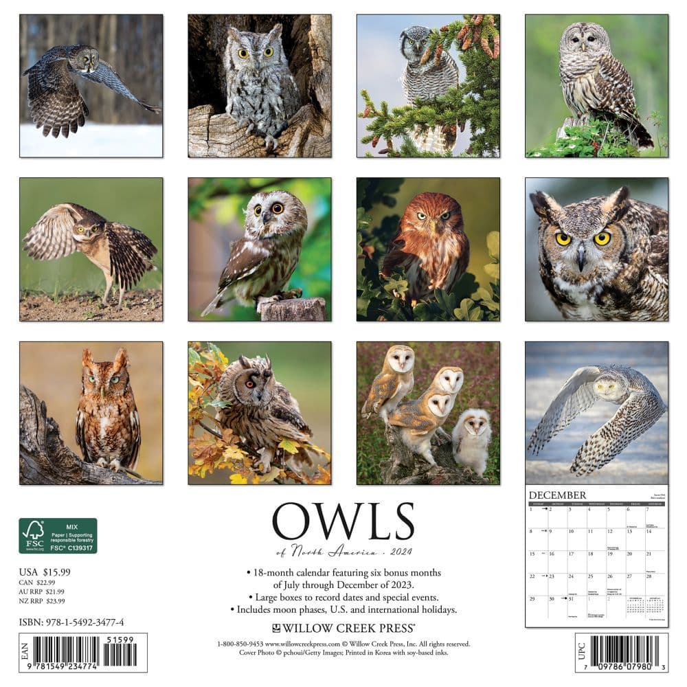 Owls 2025 Wall Calendar