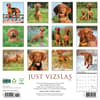 image Just Vizslas 2025 Wall Calendar