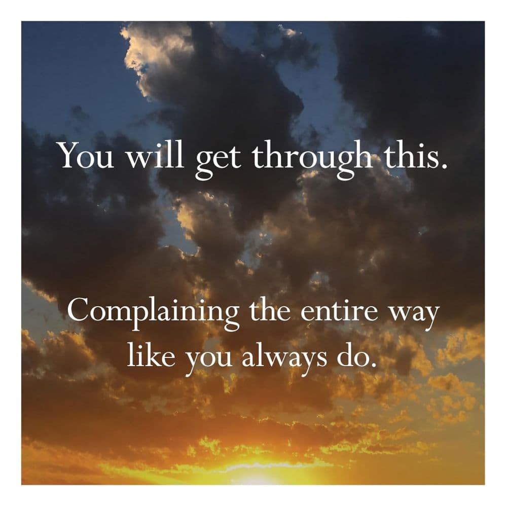 Disappointing Affirmations 2027 Wall Calendar Fourth Alternate Image