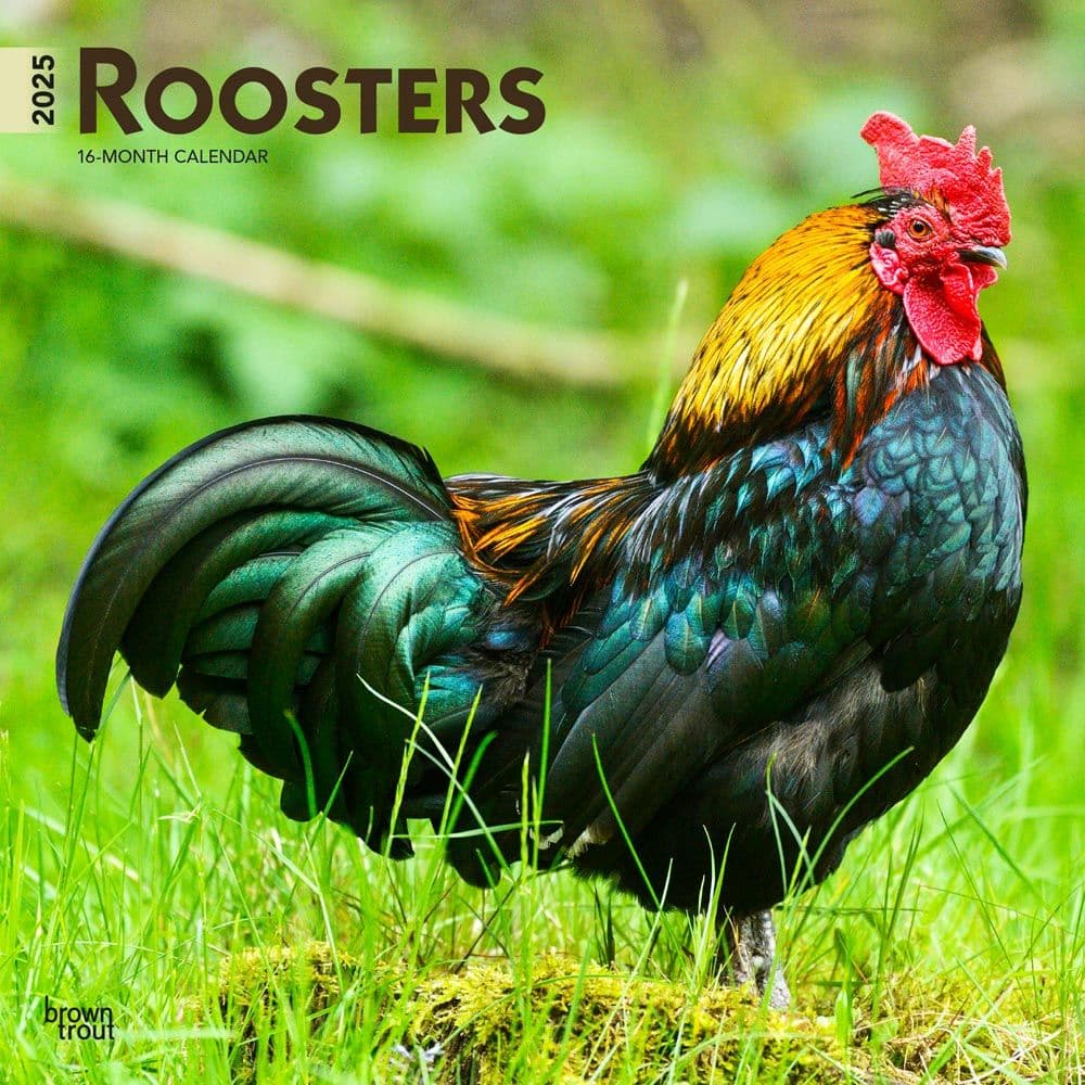 Roosters 2025 Wall Calendar - Calendars.com