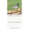 image Songbirds 2026 Wall Calendar_ALT2