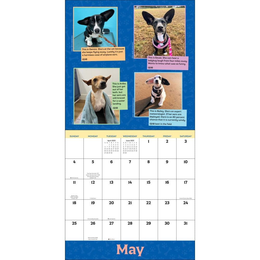 We Rate Dogs 2025 Wall Calendar