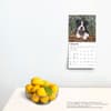 image Boston Terrier Puppies 2025 Mini Wall Calendar Fourth Alternate Image width=&quot;1000&quot; height=&quot;1000&quot;