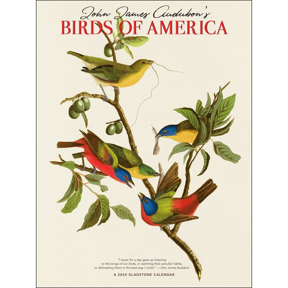 Audubon Birds of America 2024 Wall Calendar Main Product Image width=&quot;1000&quot; height=&quot;1000&quot;