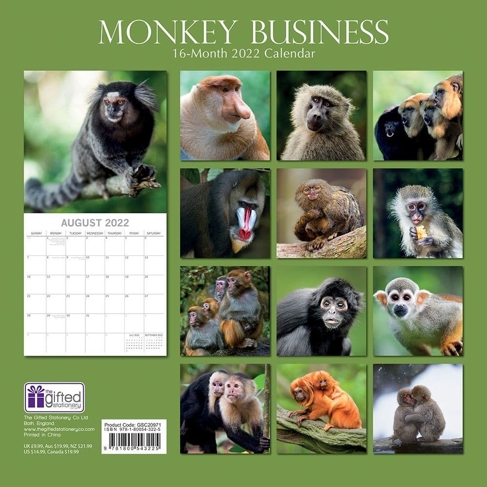 Monkey Business 2022 Wall Calendar - Calendars.com